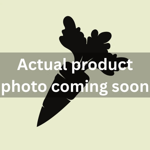Taiwanese Choy Sum Emperor Choy Sum 1 kg Per Pack